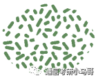 暑假黄金期即将来临,二战的同学租房?留校?回家?去哪里学习