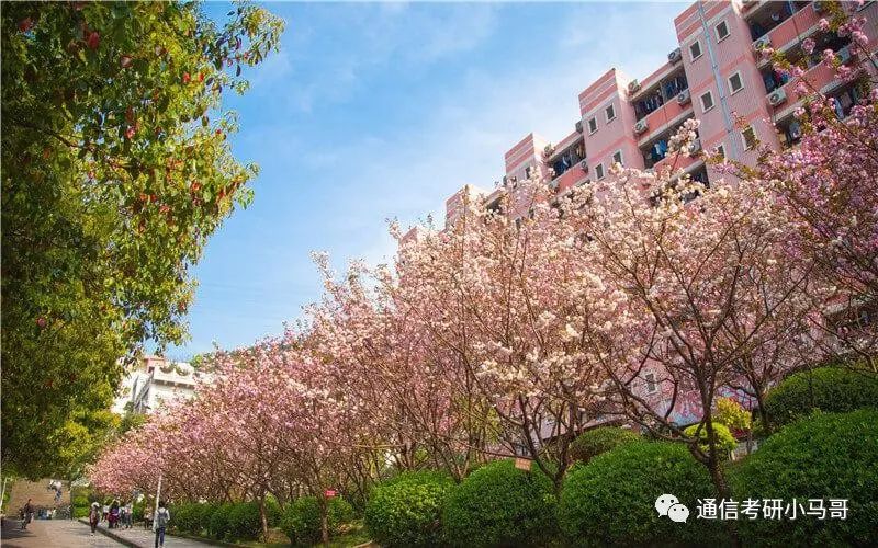 这所院校23年录取610人，政英单科线38分，初试过线47分全部录取！-梦马考研