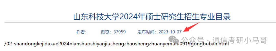 【240306】山东科技大学—080900 电子科学与技术