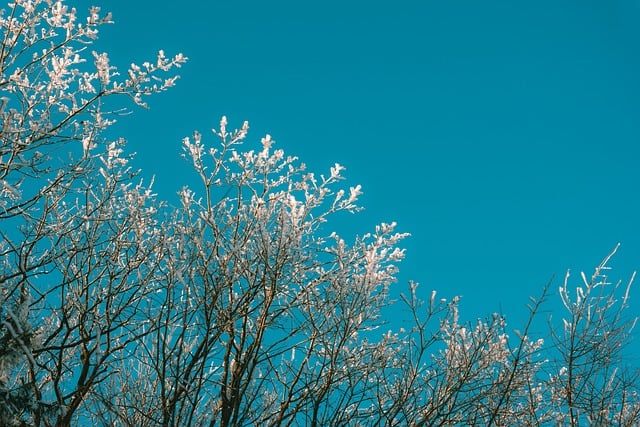 双非电路+信号，129上岸华电经验。-梦马考研