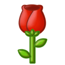 【公开课】中国海洋大学上岸经验分享！